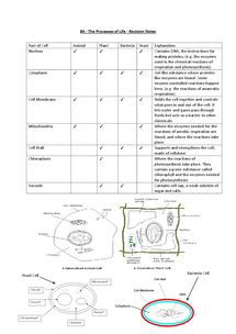 B4 21st century science notes biology
