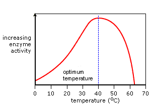 Graph showing pH and enzyme activity. Between pH 4.5 and pH 8, enzyme activity increases steadily. It peaks at pH 8, then decreases fairly rapidly (http://www.bbc.co.uk/schools/gcsebitesize/science/images/gcsechem_18part2.gif)