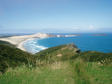 Bay and headland in New Zealand (http://www.bbc.co.uk/schools/gcsebitesize/geography/images/coast_011.jpg)