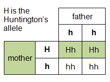 H is the Huntingdon's allele. Father has two h alleles, mother has one H and one h allele. The four combinations are: Hh, Hh, hh, hh.  (http://www.bbc.co.uk/staticarchive/1c554d86008164890ac9439c92090b5a3ae8cc71.gif)