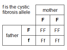 f is the cystic fibrosis allele. Mother has two F alleles, father has one F and one f allele. The four combinations of allele are: FF, FF, Ff, Ff.  (http://www.bbc.co.uk/staticarchive/f19d189da8b1f2c053e437c72cc59076eddbc437.gif)