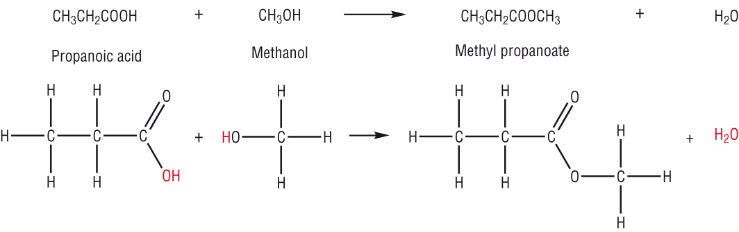 (http://www.chemhume.co.uk/ASCHEM/Unit%202/Ch11%20Alcohols/images/propanoic_acid_methanol.jpg)