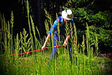 man cutting grass with scythe (http://www.bbc.co.uk/staticarchive/636740926a42a2d694b614035f89067b7c169940.jpg)
