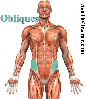 (http://www.askthetrainer.com/image-files/obliques-exercise-videos.jpg)