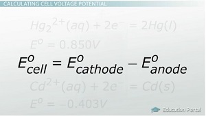 Untitled (http://study.com/cimages/multimages/16/cell-voltage-potential-equation.jpg)