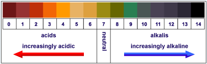 Diagram of the PH scale (http://www.bbc.co.uk/staticarchive/58177a276501615c963df37b4ab5b3475528953f.gif)