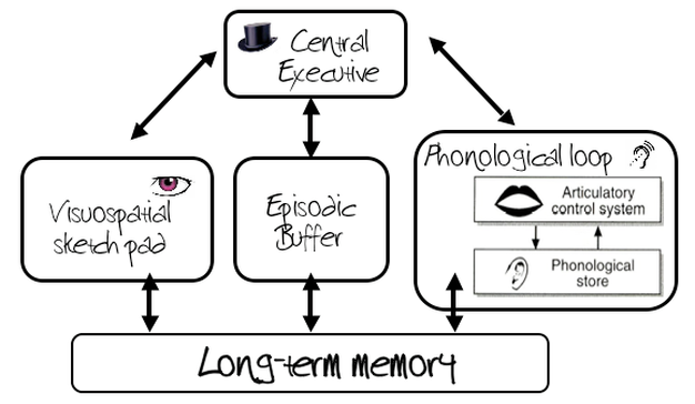 Image result for working memory model (http://aspsychologyblackpoolsixth.weebly.com/uploads/5/4/2/8/5428408/3337730.png?629)