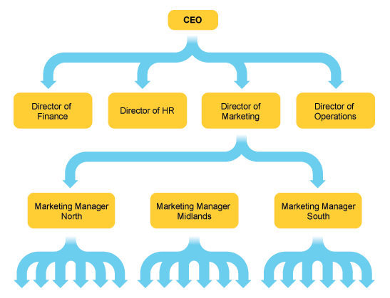 An organisational chart showing the structure of a company, starting with the CEO at the top, down to the 4 company directors- the director of finance, the director of HR, the director of marketing and the director of operations. Beneath them there are regional managers who in turn supervise many other people.  (http://www.bbc.co.uk/schools/gcsebitesize/business/images/people1.gif)