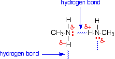 (http://www.chemguide.co.uk/organicprops/amines/hbonds.gif)