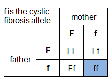 f is the cystic fibrosis allele. Mother and father both have one F and one f allele. The four combinations of allele are: FF, Ff, Ff, ff.  (http://www.bbc.co.uk/staticarchive/229258ad0480868953b60abd723d99a9df9aefbd.gif)