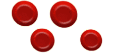 red blood cells (http://www.bbc.co.uk/schools/gcsebitesize/science/images/aqaaddsci_10.gif)
