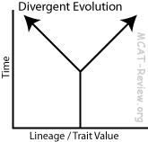 (http://mcat-review.org/divergent-evolution.gif)