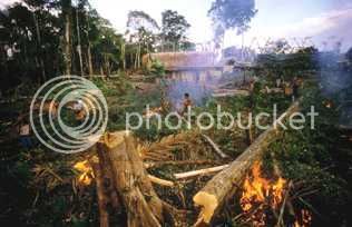 (http://i169.photobucket.com/albums/u238/biopact2/biopact_tropics_deforestation_pover.jpg?t=1180622217)