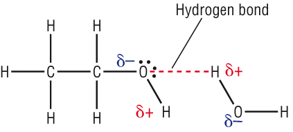 (http://www.chemhume.co.uk/ASCHEM/Unit%202/Ch11%20Alcohols/images/hydrogen_bonding_ethanol_water.jpg)