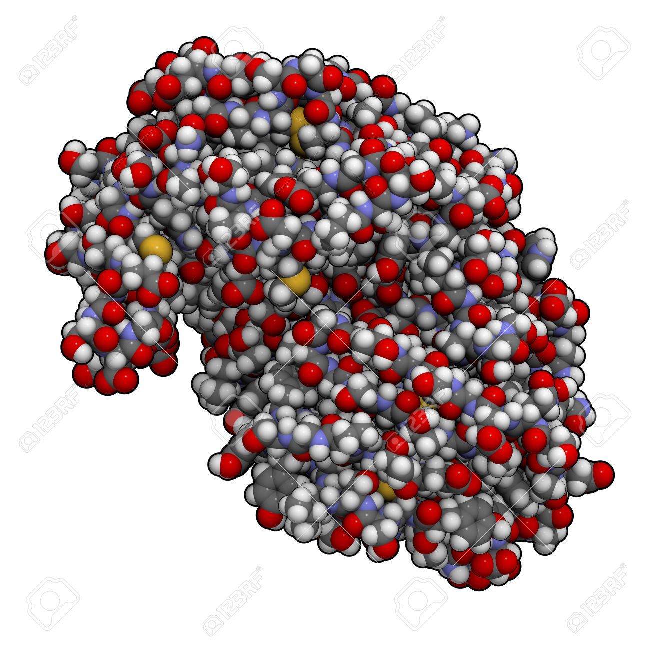 (http://previews.123rf.com/images/molekuul/molekuul1212/molekuul121200149/16647850-Chemical-structure-of-a-pepsin-enzyme-molecule-Pepsin-is-a-digestive-enzyme-found-in-the-stomach-whe-Stock-Photo.jpg)