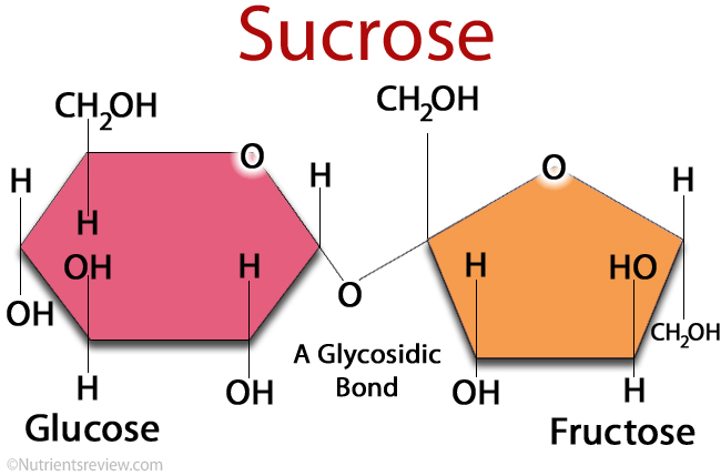 (http://www.nutrientsreview.com/wp-content/uploads/2014/09/Sucrose.jpg)