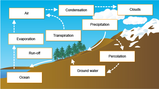 Diagram showing the key stages in the hydrological cycle (http://www.bbc.co.uk/schools/gcsebitesize/geography/images/2_background_rivers.jpg)