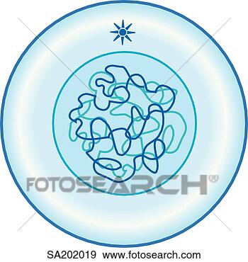 (http://comps.fotosearch.com/comp/LIF/LIF113/meiosis-interphase_~SA202019.jpg)