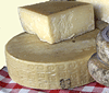 cheese (http://www.bbc.co.uk/schools/gcsebitesize/science/images/bifat.gif)