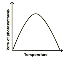 rate of photosynthesis plotted against temperature. the rate begins to slow as the temperature continues to increase (http://www.bbc.co.uk/schools/gcsebitesize/science/images/photosyn_3.gif)