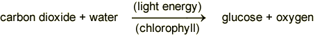 Carbon dioxide and water, in the presence of light and chlorophyll, goes to glucose and oxygen (http://www.bbc.co.uk/schools/gcsebitesize/science/images/ocr_gate_lightenergy.gif)