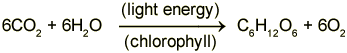 6 CO2 plus 6 H2O, in the presence of light and chlorophyll, goes to C6 H12 O6 plus 6 O2. (http://www.bbc.co.uk/schools/gcsebitesize/science/images/ocr_gate_lightenergy2.gif)