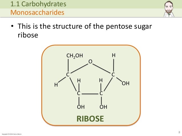 Copyright © 2015 Henry Exham • This is the structure of the pentose sugar ribose 8 1.1 Carbohydrates Monosaccharides O CC ... (http://image.slidesharecdn.com/alevelbiology-1biologicalmoleculessample-150724121945-lva1-app6892/95/a-level-biology-biological-molecules-8-638.jpg?cb=1437740601)