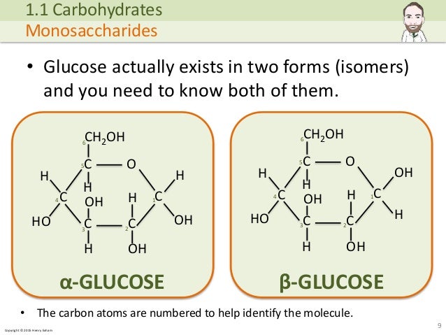 Copyright © 2015 Henry Exham • Glucose actually exists in two forms (isomers) and you need to know both of them. 9 1.1 Car... (http://image.slidesharecdn.com/alevelbiology-1biologicalmoleculessample-150724121945-lva1-app6892/95/a-level-biology-biological-molecules-9-638.jpg?cb=1437740601)