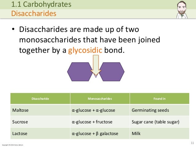 Copyright © 2015 Henry Exham • Disaccharides are made up of two monosaccharides that have been joined together by a glycos... (http://image.slidesharecdn.com/alevelbiology-1biologicalmoleculessample-150724121945-lva1-app6892/95/a-level-biology-biological-molecules-11-638.jpg?cb=1437740601)