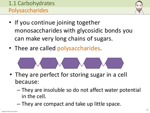 Copyright © 2015 Henry Exham • If you continue joining together monosaccharides with glycosidic bonds you can make very lo... (http://image.slidesharecdn.com/alevelbiology-1biologicalmoleculessample-150724121945-lva1-app6892/95/a-level-biology-biological-molecules-14-638.jpg?cb=1437740601)