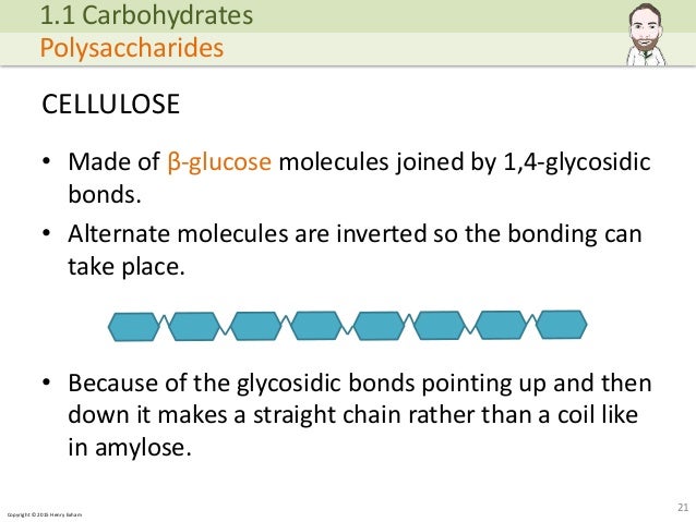 Copyright © 2015 Henry Exham CELLULOSE • Made of β-glucose molecules joined by 1,4-glycosidic bonds. • Alternate molecules... (http://image.slidesharecdn.com/alevelbiology-1biologicalmoleculessample-150724121945-lva1-app6892/95/a-level-biology-biological-molecules-21-638.jpg?cb=1437740601)