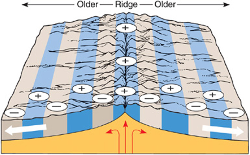 Image result for paleomagnetism diagram sea floor spreading (http://higheredbcs.wiley.com/legacy/college/levin/0471697435/chap_tut/images/nw0137-nn.jpg)