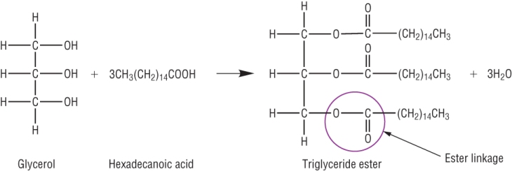 (http://www.chemhume.co.uk/A2CHEM/Unit%201/3%20Carbonyl%20groups/triglyceride.jpg)