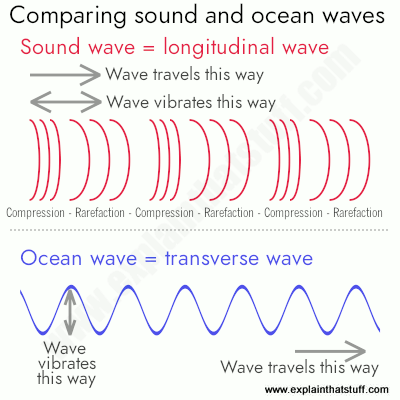 Image result for comparing longitudinal waves and transverse (http://cdn4.explainthatstuff.com/longitudinal-transverse-wave-compared.png)