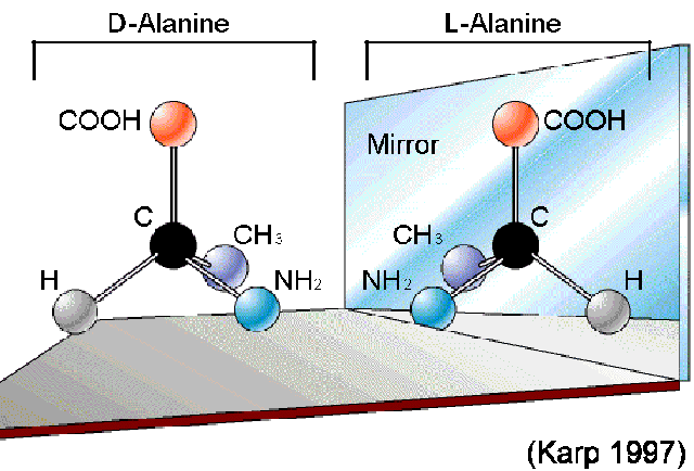 (http://www.mun.ca/biology/scarr/Karp_2_25_alanine_stereoisomers.gif)