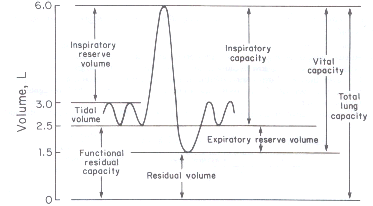 (http://www.durangoperformancecenter.com/userfiles/spirometry_diagram1.gif)