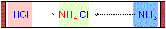 (http://www.gcsescience.com/Diffusion-Hydrogen-Chloride-Ammonia.gif)