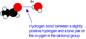 Image result for aldehyde hydrogen bond with water (http://www.chemguide.co.uk/organicprops/carbonyls/ethanalh2obond.gif)