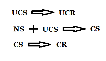 (http://3.bp.blogspot.com/-CTM-de0D6eY/ULO-ewAq8VI/AAAAAAAAACA/hfsRfJvkDkM/s1600/classical+conditioning+diagram.png)