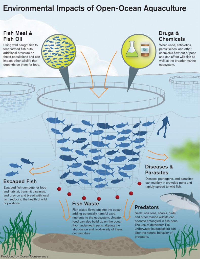 (http://www.yourdoctorsorders.com/wp-content/uploads/2014/04/aquacultureimpacts-791x1024.jpg)