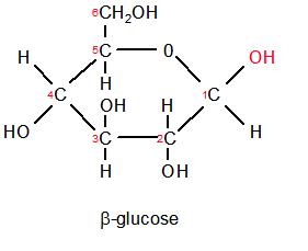 Image result for alpha glucose (http://biologyatsandringham.pbworks.com/f/1273011388/beta%20glucpse.jpg)