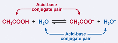 (http://www.wiley.com/college/pratt/0471393878/student/review/acid_base/conjugate_pairs.gif)