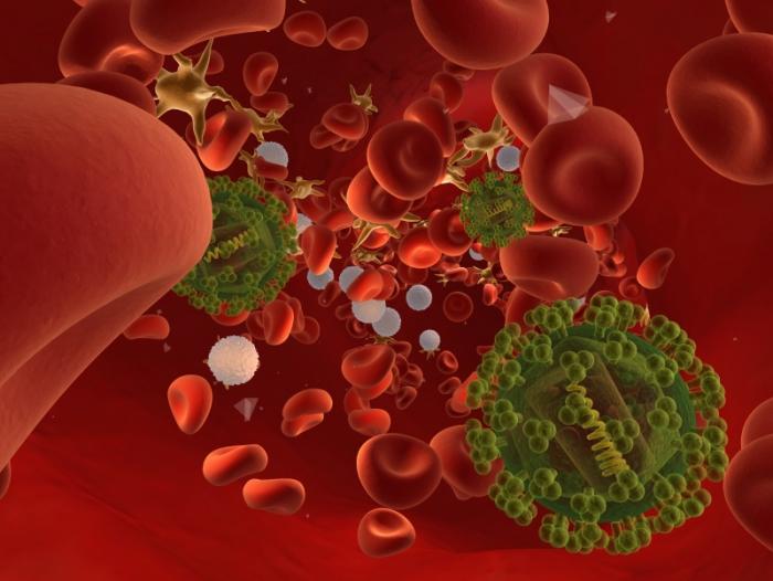 (http://www.medicalnewstoday.com/content/images/articles/017/17131/hiv-blood-cell-illustration.jpg)