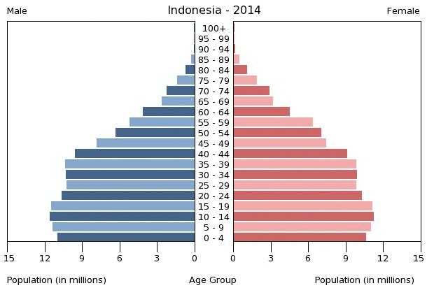 (http://www.indexmundi.com/graphs/population-pyramids/indonesia-population-pyramid-2014.gif)