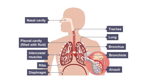 (http://www.clipartbest.com/cliparts/9cp/6rb/9cp6rb6oi.jpg)