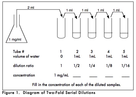 Image result for serial dilution experiment (http://www.openwetware.org/images/3/32/BISC110.1.10.jpg)