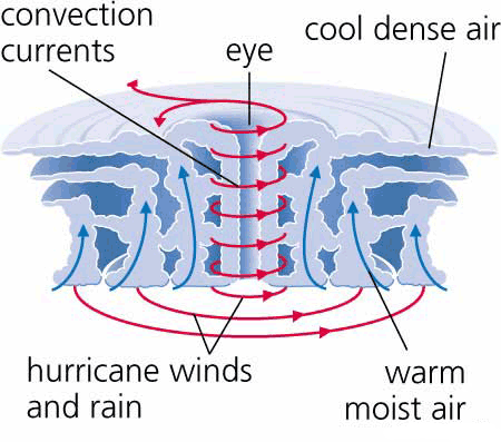 (http://www.coolgeography.co.uk/GCSE/Year11/Managing%20Hazards/Tropical%20storms/hurricane-diagram.gif)