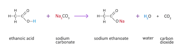 Image result for carboxylic acid react with carbonates (http://www.passmyexams.co.uk/GCSE/chemistry/images/alkanes/eq-carboxyl-carbonate-02.gif)