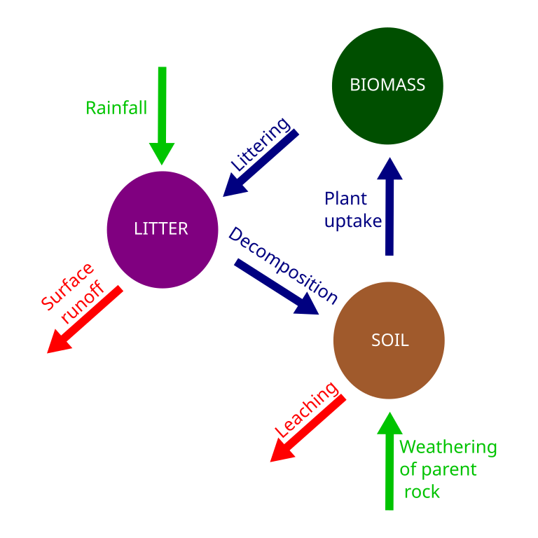 Image result for nutrient cyclying (http://upload.wikimedia.org/wikipedia/commons/thumb/b/b7/Nutrient_cycle.svg/768px-Nutrient_cycle.svg.png)