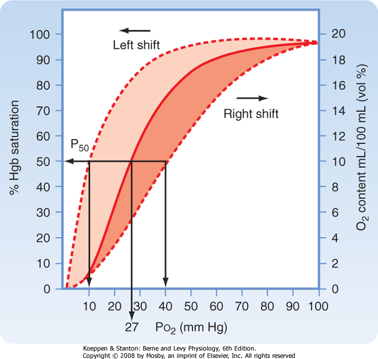 Image result for hemoglobin curve (http://users.atw.hu/blp6/BLP6/HTML/common/M9780323045827-023-f004.jpg)